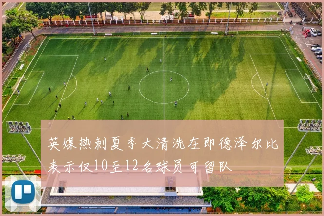 英媒热刺夏季大清洗在即德泽尔比表示仅10至12名球员可留队