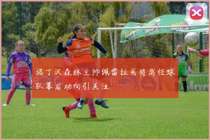 诺丁汉森林主帅佩雷拉或将离任球队幕后动向引关注