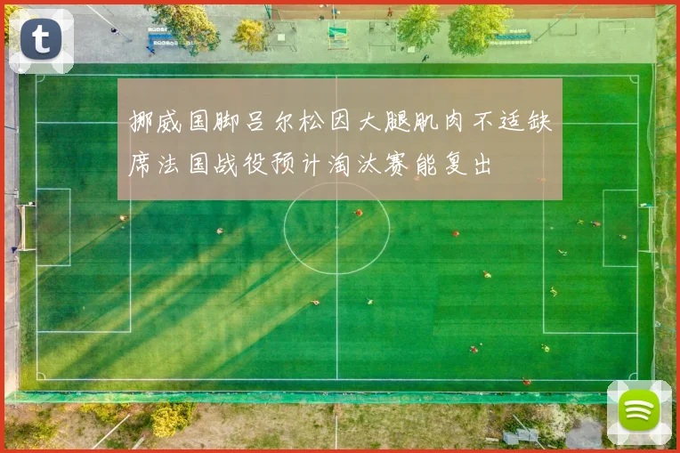 挪威国脚吕尔松因大腿肌肉不适缺席法国战役预计淘汰赛能复出